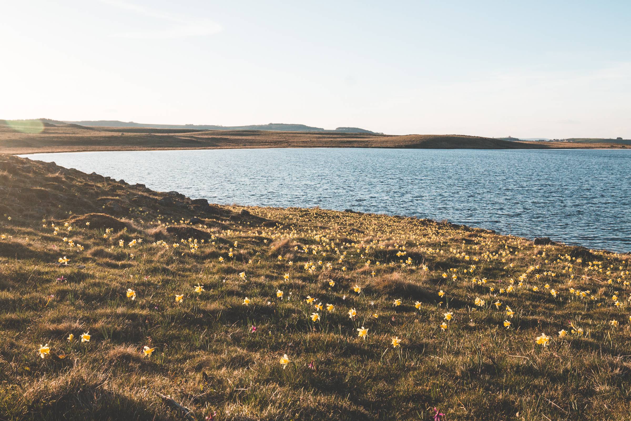 Photo de LACS D'AUBRAC