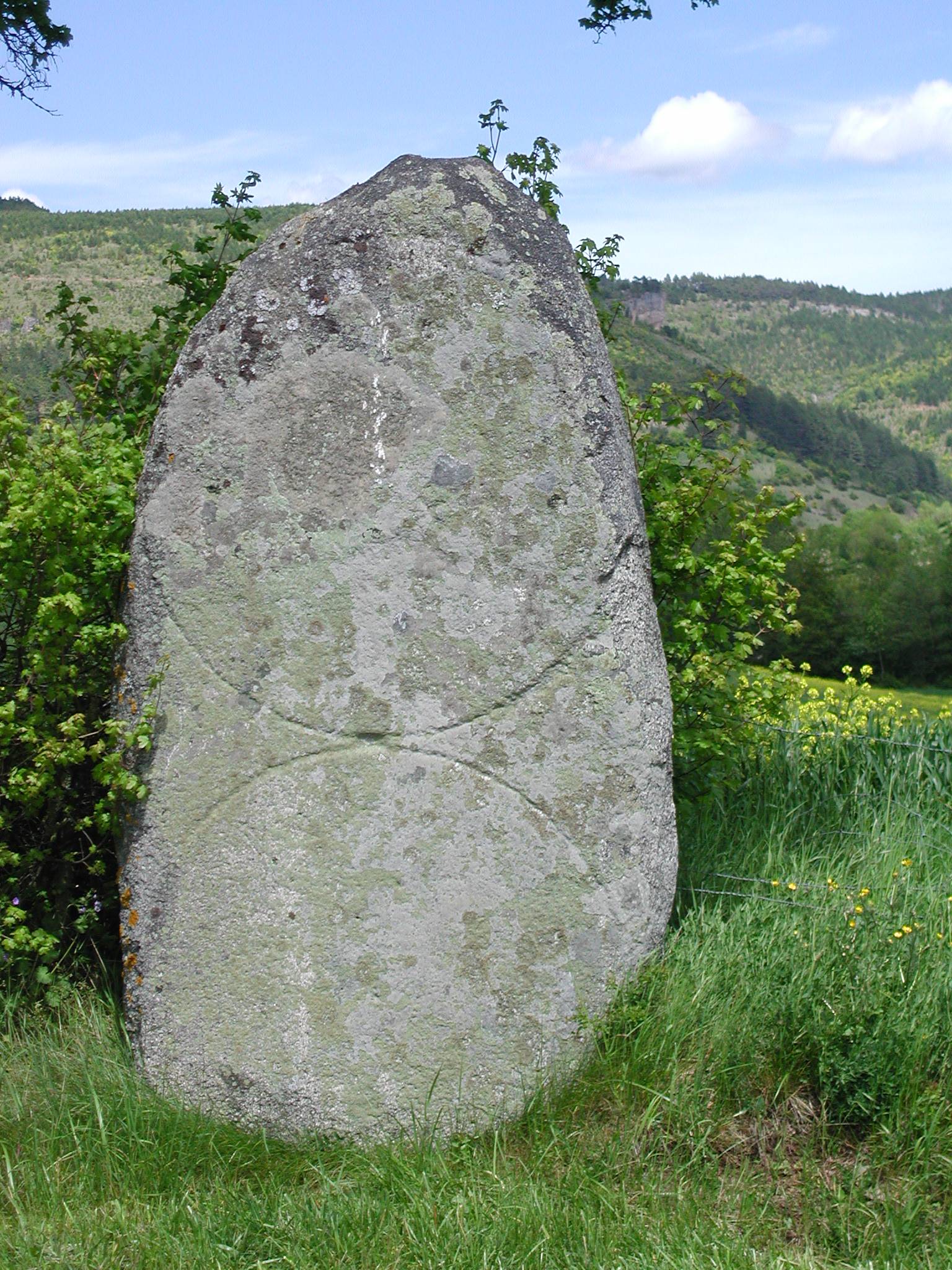 Photo de MENHIR DU BOY