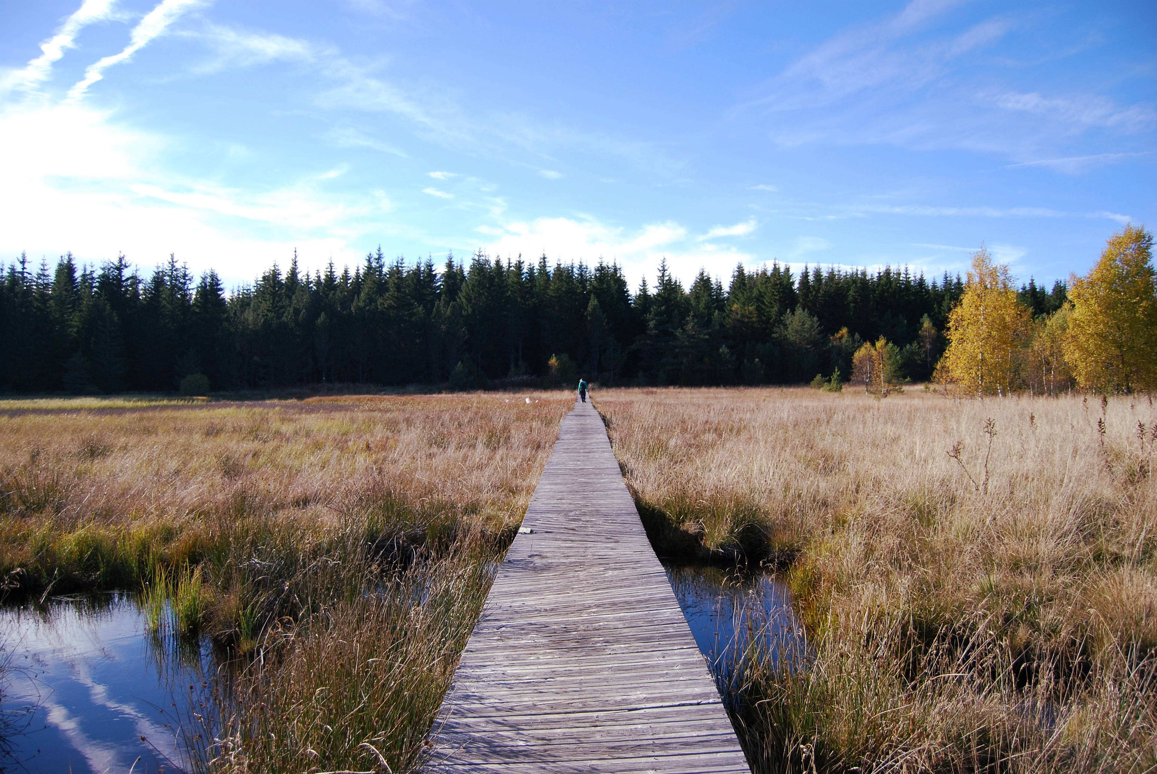 Photo de PLATEAU DE CHARPAL