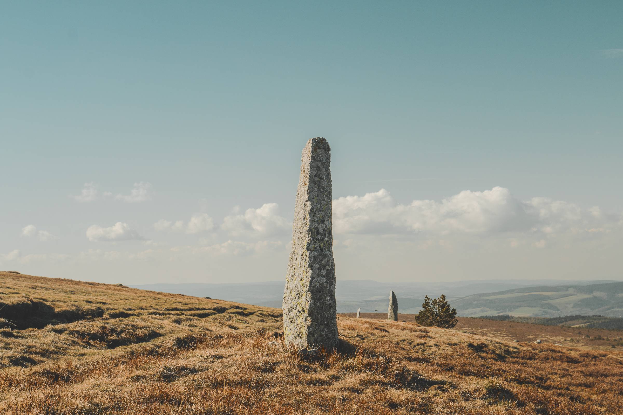 Photo de LE MONT LOZÈRE