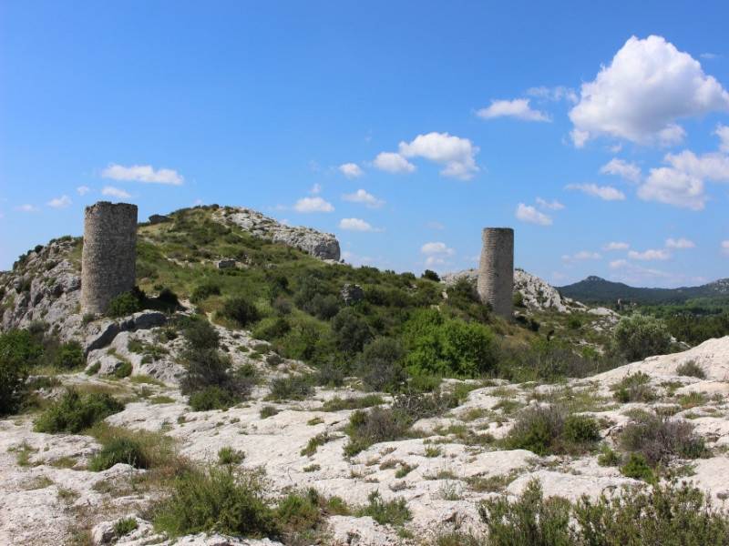 Photo de Les Tours de Castillon