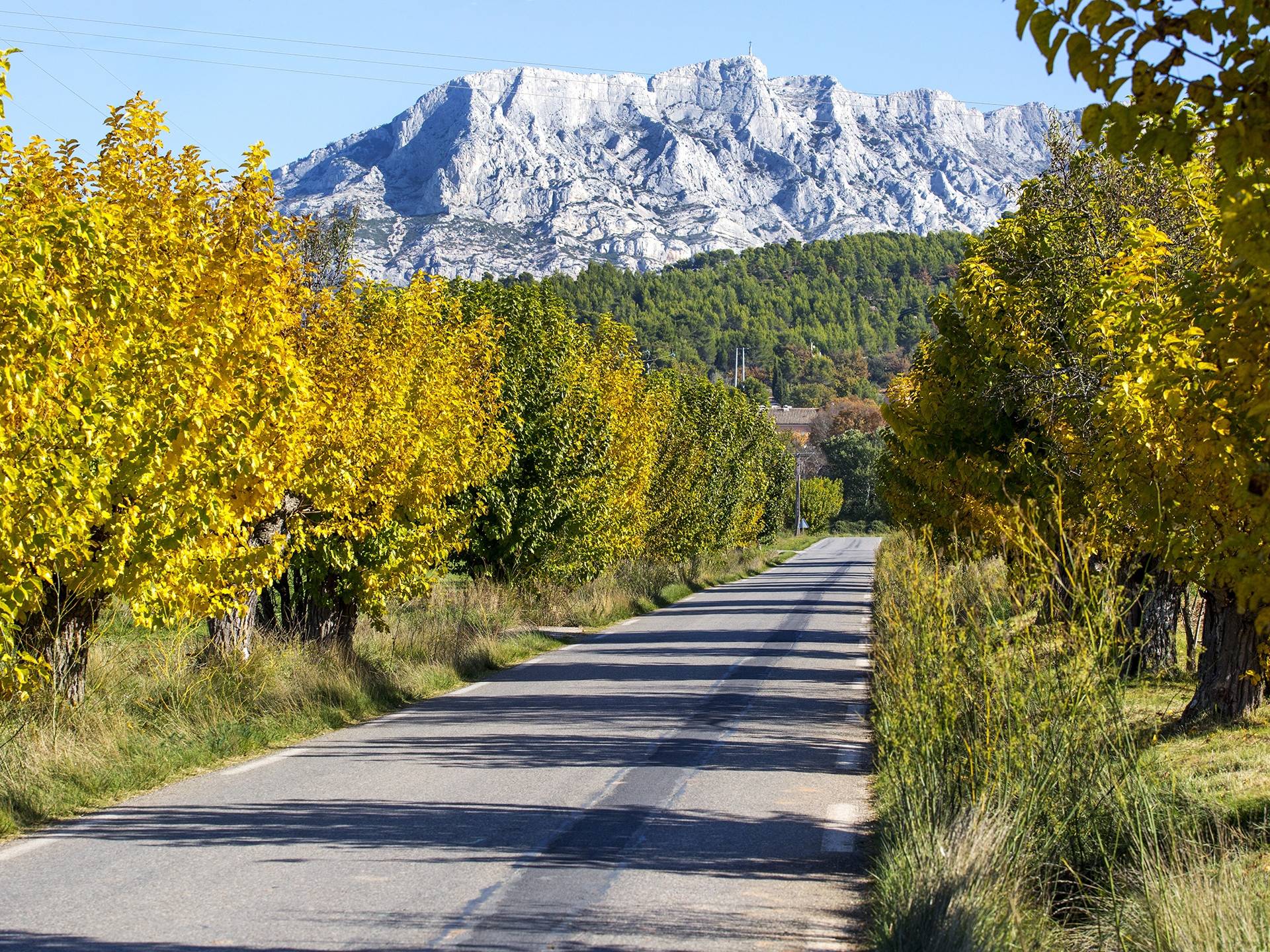 Photo de Grand Site Concors Sainte-Victoire