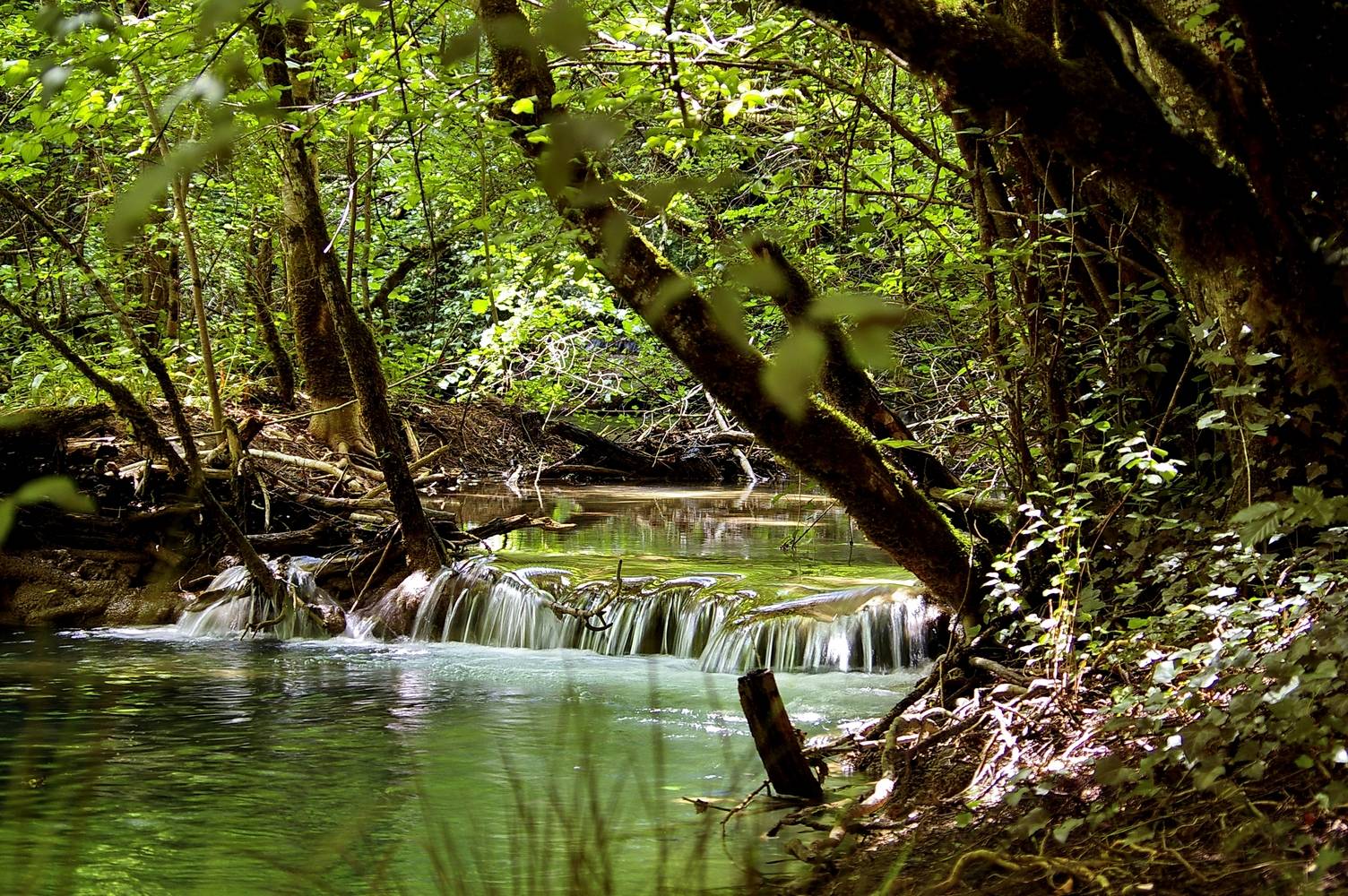 Photo de Le Ru Blanc