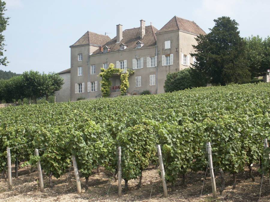 Photo de Musée de la Vigne et du Vin