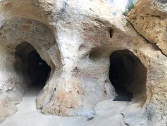 Grotte de Font-de-Gaume