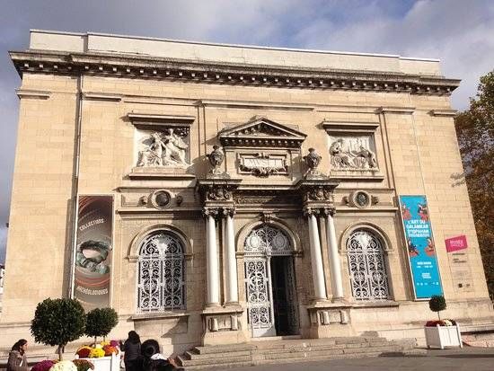 Musée d'Histoire naturelle Lecoq