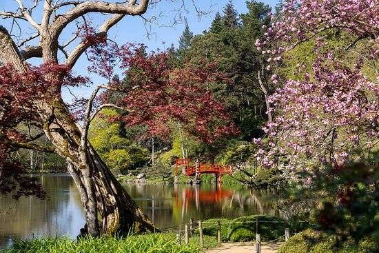 Parc Oriental de Maulévrier