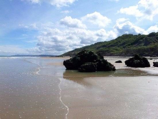 Falaise des Vaches Noires