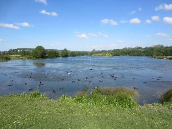 Le Parc Naturel du Marais