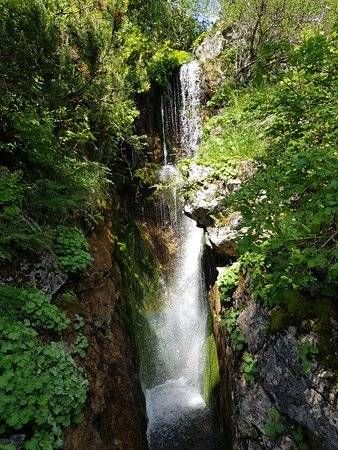 Jardin botanique Alpin de la Jaysinia