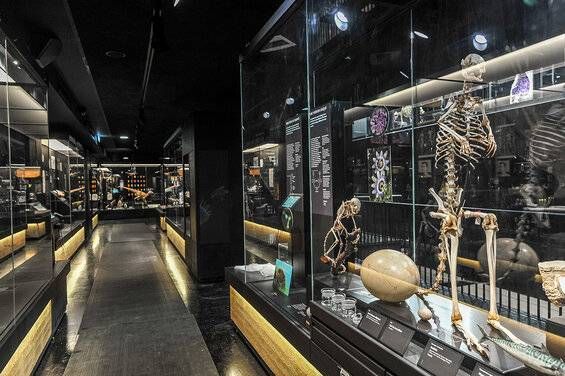 MOBE - Muséum d’Orléans pour la Biodiversité et l’Environnement