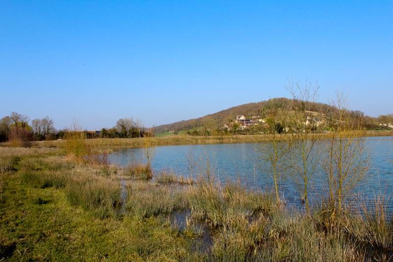 Etang communal de Sougé