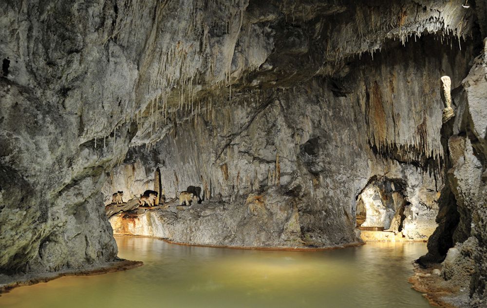 Fontaines Pétrifiantes de Saint-Nectaire