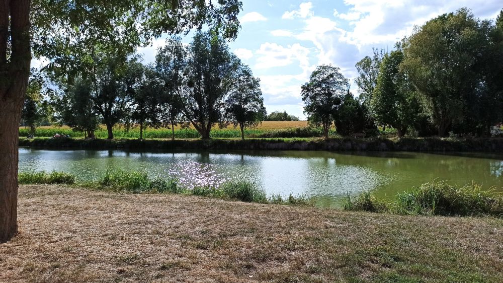 Etangs de Saint-Martin