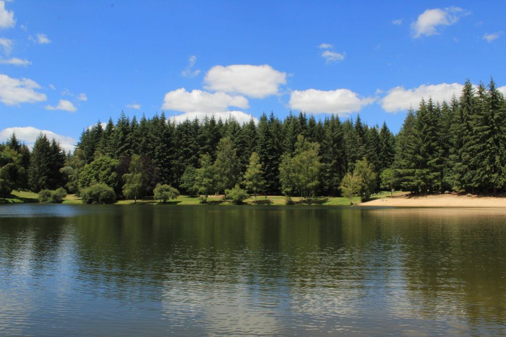 Baignade surveillée à l'étang de la forêt