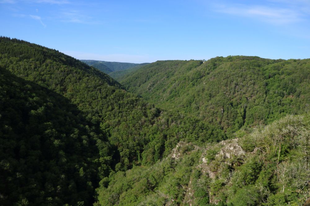 Les gorges de la Luzège
