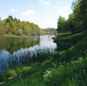 Etang du Portail de Treignac