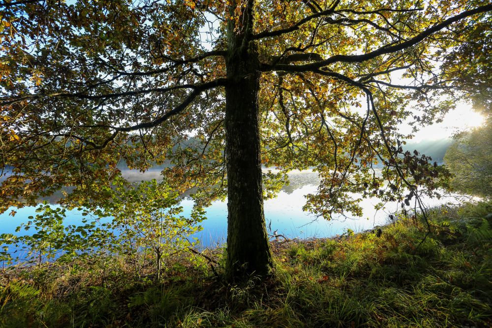 Les étangs du Doustre