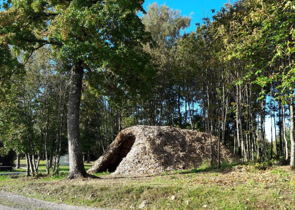 Cabane de feuillardier à Masselièvre