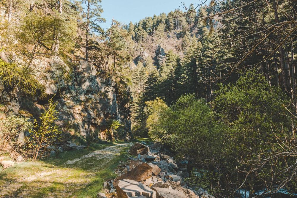 GORGES DU BRAMONT