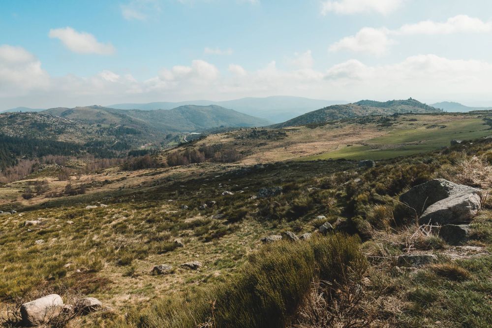 LE MONT-LOZERE
