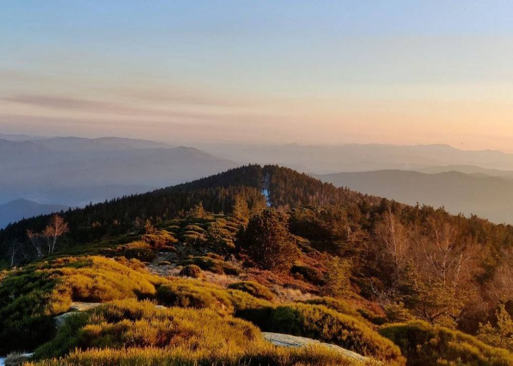 SIGNAL DE VENTALON (COTATION NOIR)