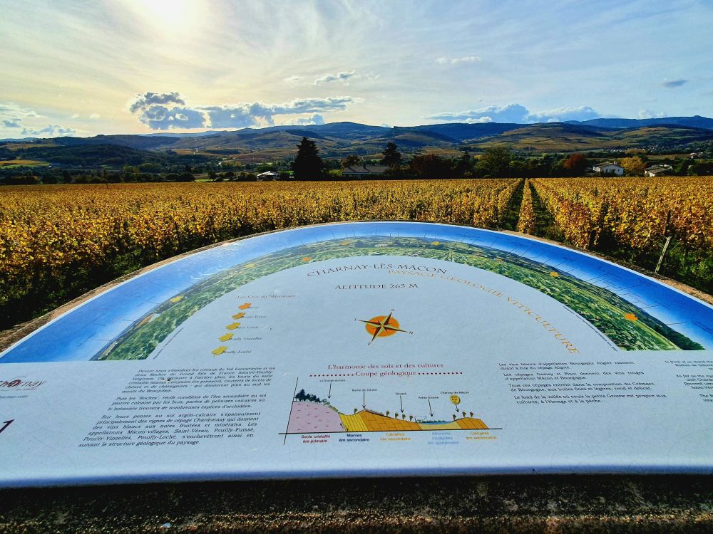 Panorama de Charnay-lès-Mâcon